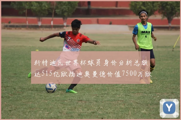 科特迪瓦世界杯球员身价分析总额达515亿欧扬迪奥曼德价值7500万欧